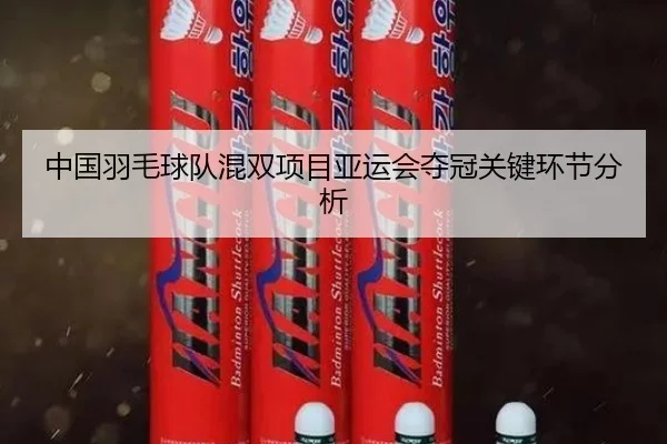 中国羽毛球队混双项目亚运会夺冠关键环节分析 | mgsport